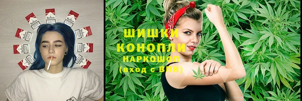 spice Абаза