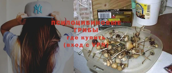 соль курить ск Алексеевка